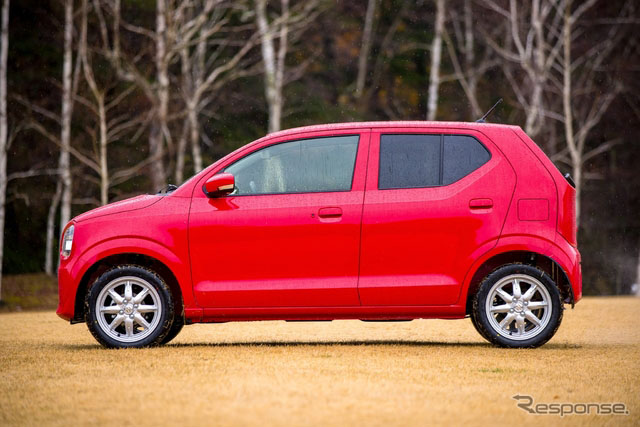 ��ľ����