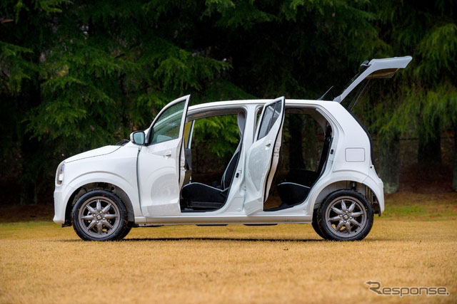 ��ľ����