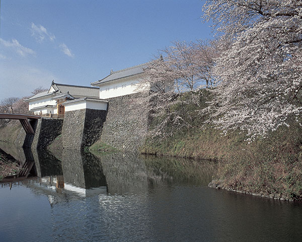 山形縣· 霞城公園的櫻花