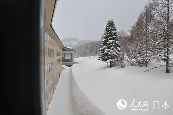 長野縣志賀高原滑雪場之燒額山滑雪場