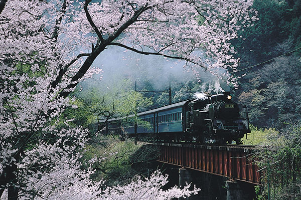 日本鐵道旅行:靜岡縣大井川鐵道（靜岡縣上海事務所供圖）