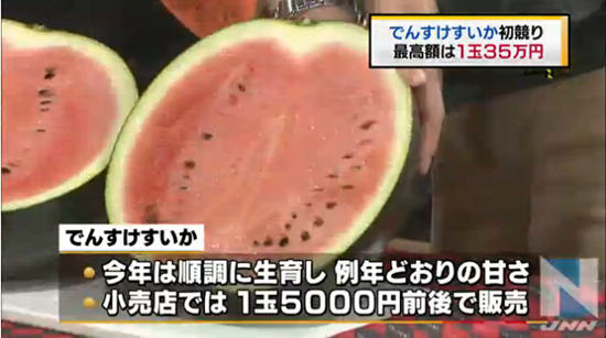 竞拍 最高卖出35万日元--日本频道--人民网