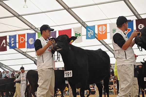 �ձ�������ʳ���֣�����ţ������ͼ��