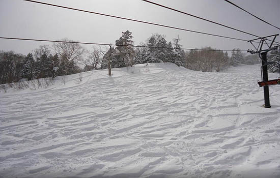 日本滑雪·日本東北滑雪場：安比高原滑雪場（資料圖）