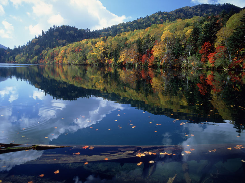 �ձ����α����������о��㣺ȥȻ�������Ȫ�ݱ���¶����Ȫ