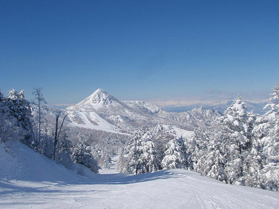 日本滑雪:长野志贺高原横手山·涩峠滑雪场 感