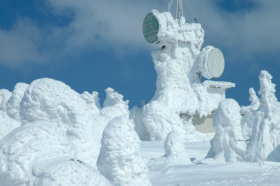 八甲田地區的雪質（資料圖）