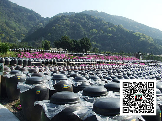 �ձ����ξ����У�¹�����ز����ڴף�¹�����۹����˹�ͼ��