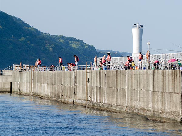 日本支持港湾完善垂钓设施 强化邮轮旅游的体