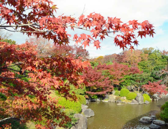 大阪萬博紀念公園“紅葉節”開幕 紅葉與日式庭院交相輝映【4】