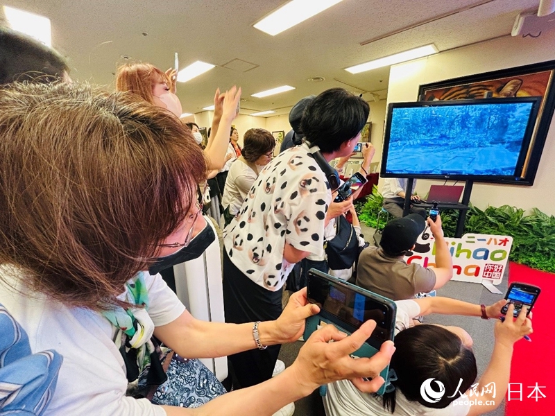 中日兩國大熊貓愛好者“雲端”連線，共同為“香香”慶祝生日。人民網 許可攝