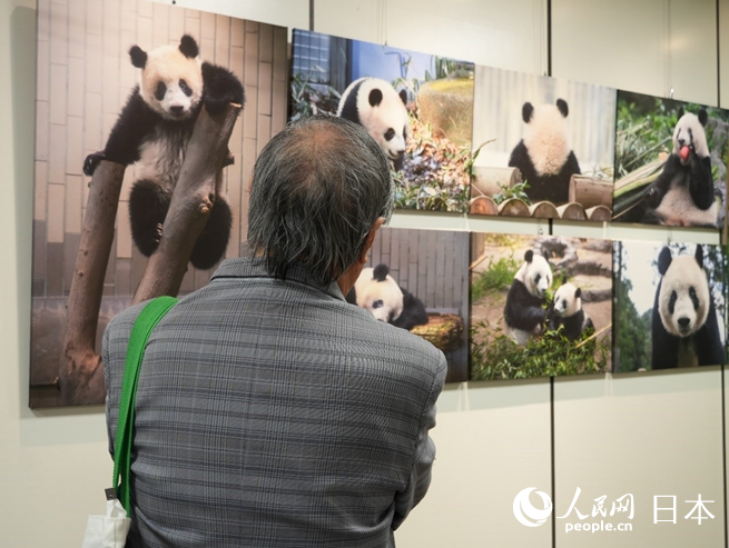 到场嘉宾观看展览。人民网 许可摄