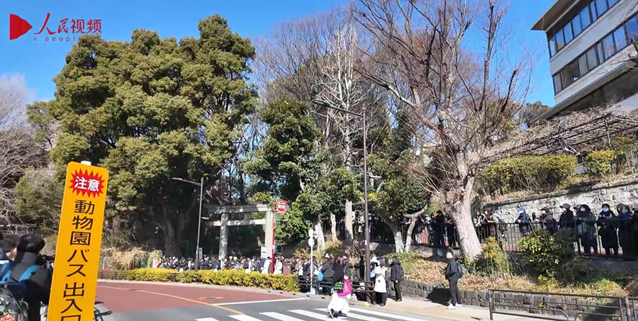 旅日大熊猫“晓晓”和“蕾蕾”启程回国 日本民众排长队告别