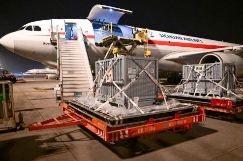 旅日大熊貓“曉曉”“蕾蕾”回到家鄉