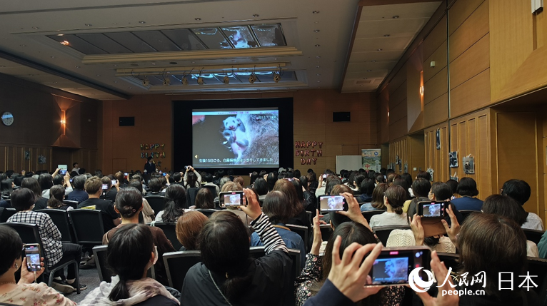 现场播放大熊猫成长的珍贵影像。蒋晓辰摄