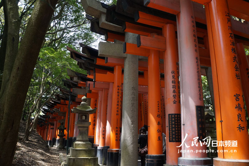 京都伏见稻荷大社 千本鸟居的绝美风景 (9)