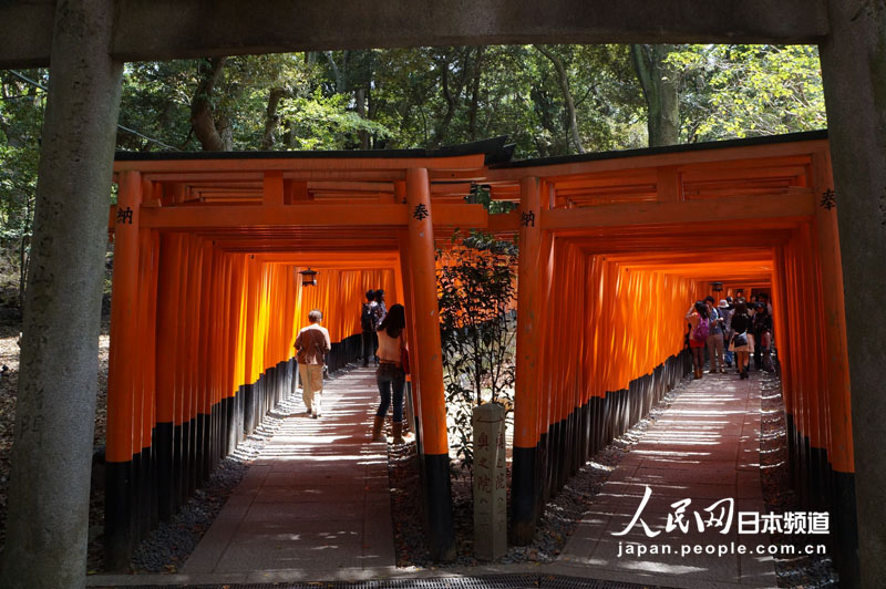 京都伏见稻荷大社 千本鸟居的绝美风景 (8)