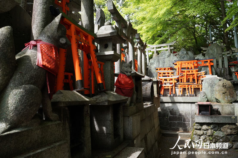 京都伏见稻荷大社 千本鸟居的绝美风景 (3)